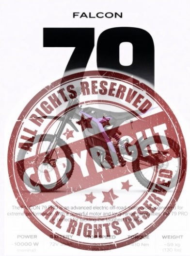 Falcon 79 Pro Poster